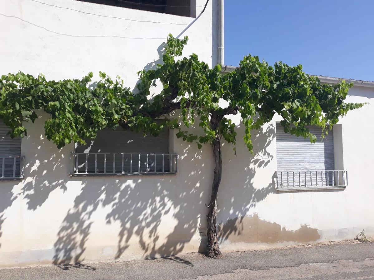 Corbera Casa La Foradada B&B 외부 사진
