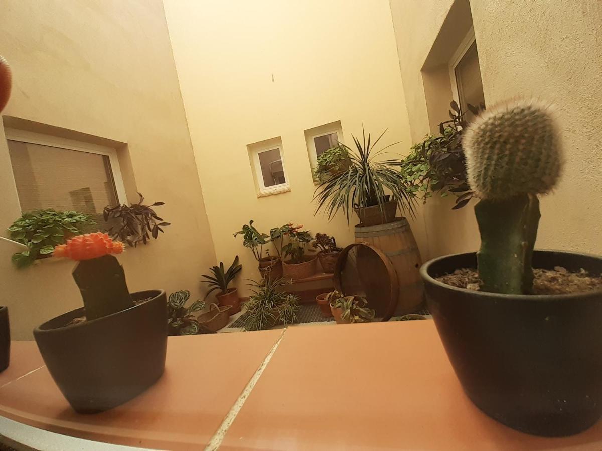Corbera Casa La Foradada B&B 외부 사진